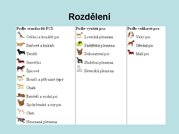 Rozdělení 