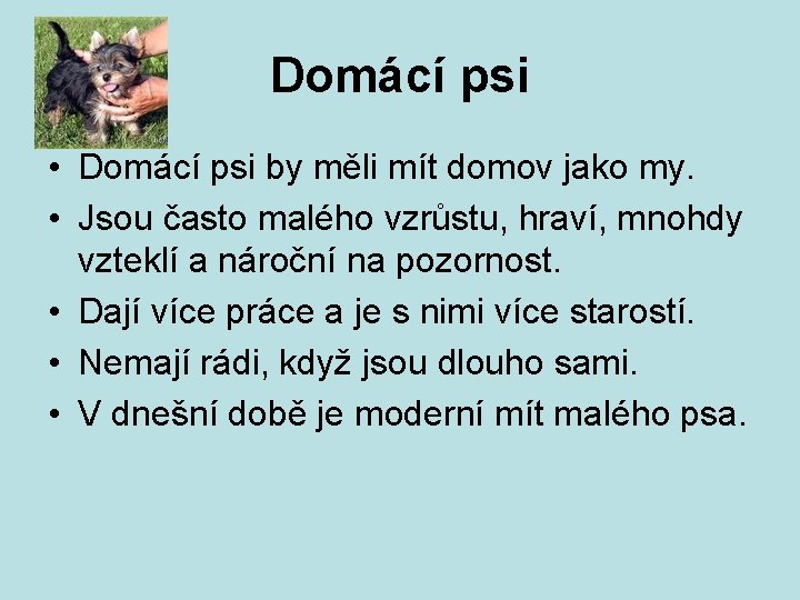 Domácí psi • Domácí psi by měli mít domov jako my. • Jsou často