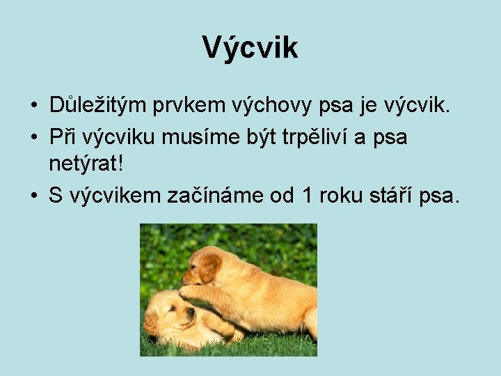 Výcvik • Důležitým prvkem výchovy psa je výcvik. • Při výcviku musíme být trpěliví