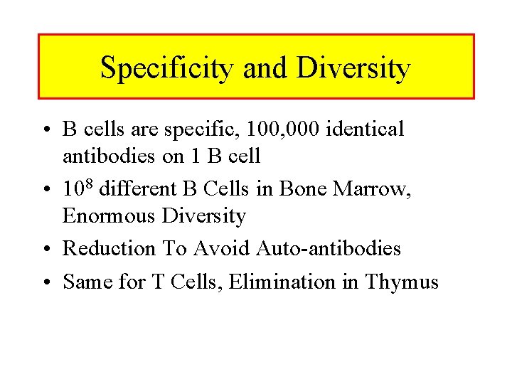 Specificity and Diversity • B cells are specific, 100, 000 identical antibodies on 1 Specificity and Diversity • B cells are specific, 100, 000 identical antibodies on 1