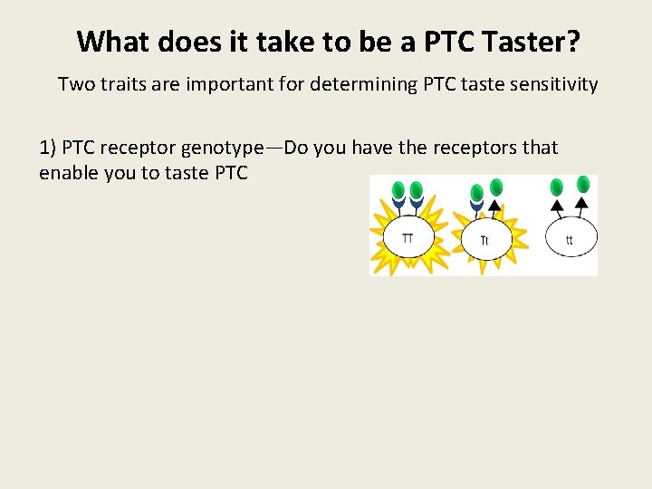 What does it take to be a PTC Taster? Two traits are important for