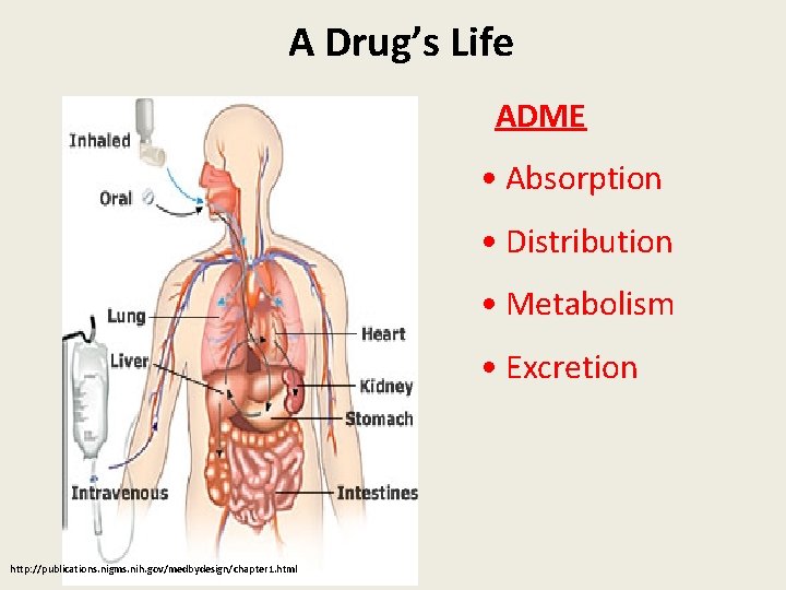 A Drug’s Life ADME • Absorption • Distribution • Metabolism • Excretion http: //publications.