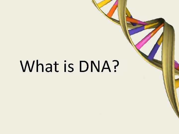 What is DNA? 