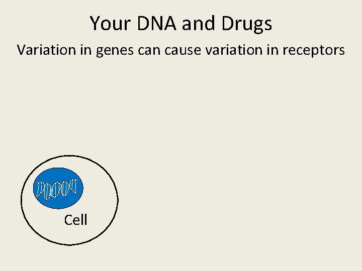 Your DNA and Drugs Variation in genes can cause variation in receptors Cell 