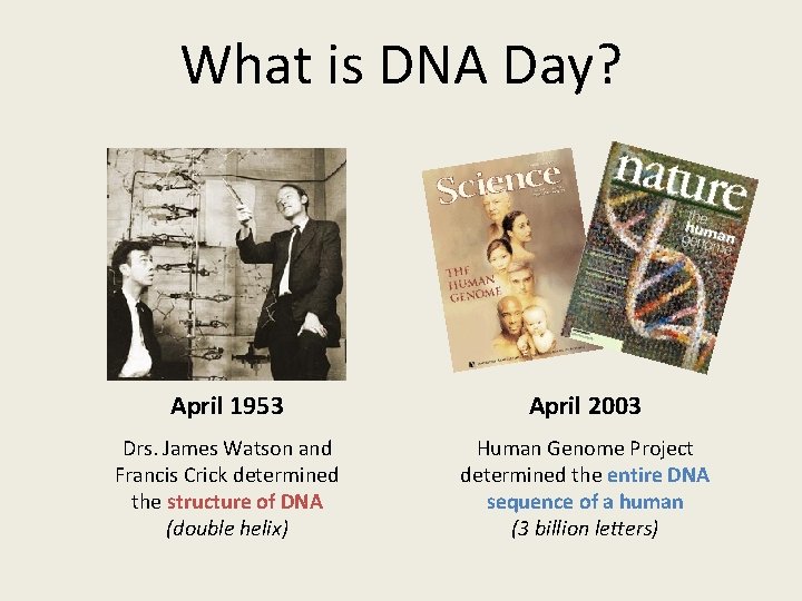 What is DNA Day? April 1953 April 2003 Drs. James Watson and Francis Crick