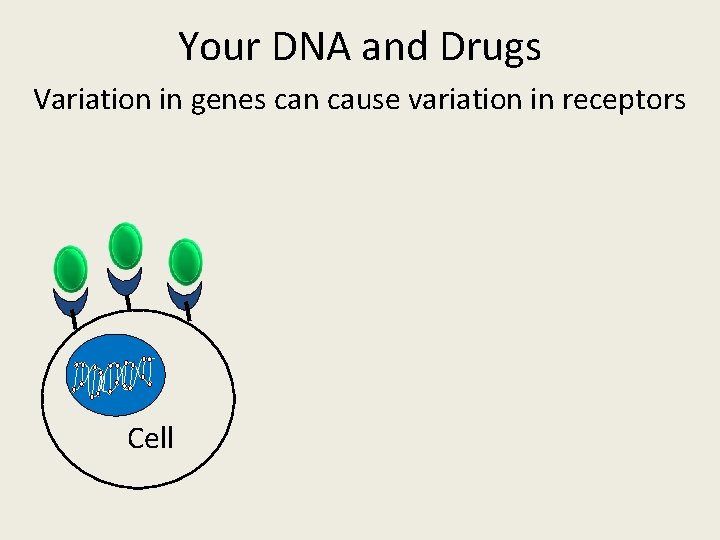 Your DNA and Drugs Variation in genes can cause variation in receptors Cell Your DNA and Drugs Variation in genes can cause variation in receptors Cell