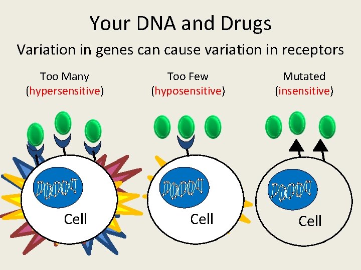 Your DNA and Drugs Variation in genes can cause variation in receptors Too Many