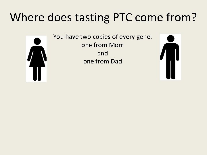 Where does tasting PTC come from? You have two copies of every gene: one