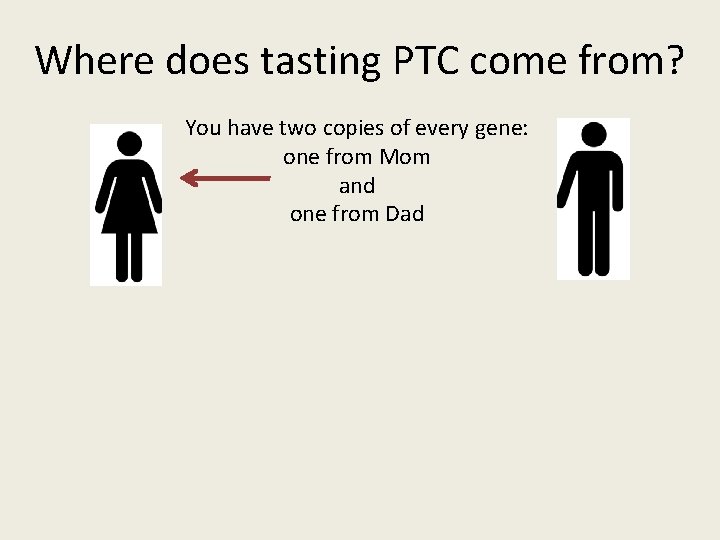 Where does tasting PTC come from? You have two copies of every gene: one