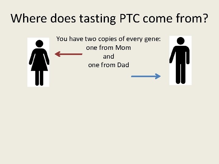 Where does tasting PTC come from? You have two copies of every gene: one