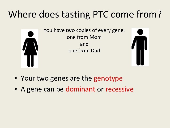 Where does tasting PTC come from? You have two copies of every gene: one