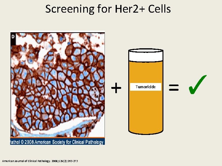 Screening for Her 2+ Cells + American Journal of Clinical Pathology. 2008; 129(2): 263