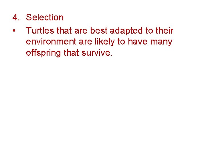 4. Selection • Turtles that are best adapted to their environment are likely to