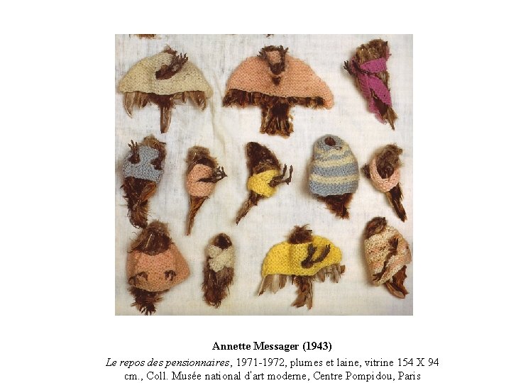 Annette Messager (1943) Le repos des pensionnaires, 1971 -1972, plumes et laine, vitrine 154