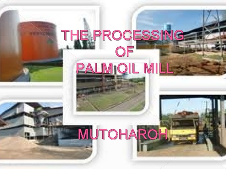 THE PROCESSING OF PALM OIL MILL MUTOHAROH 