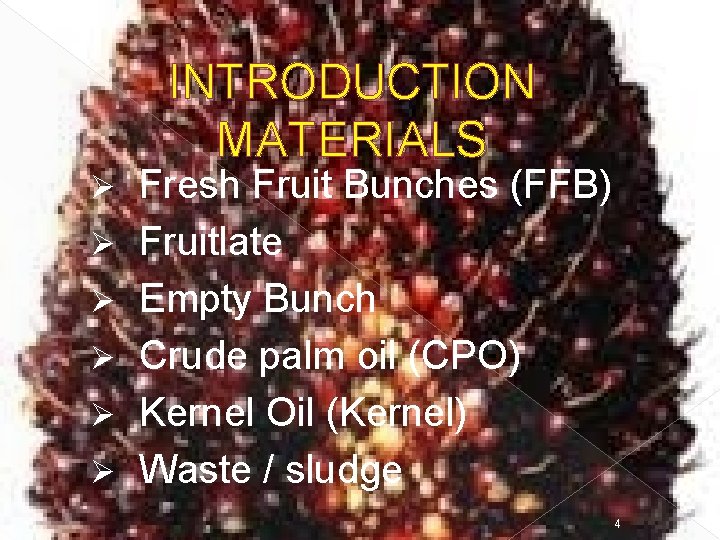 INTRODUCTION MATERIALS Ø Ø Ø Fresh Fruit Bunches (FFB) Fruitlate Empty Bunch Crude palm