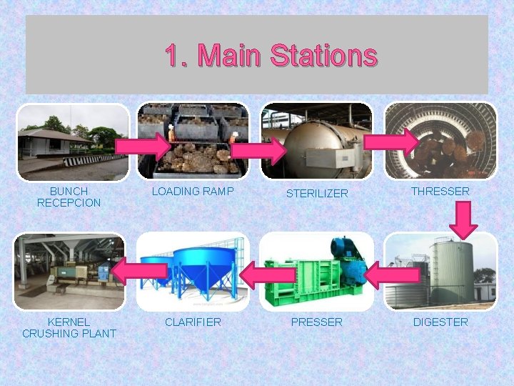 1. Main Stations BUNCH RECEPCION LOADING RAMP STERILIZER THRESSER KERNEL CRUSHING PLANT CLARIFIER PRESSER