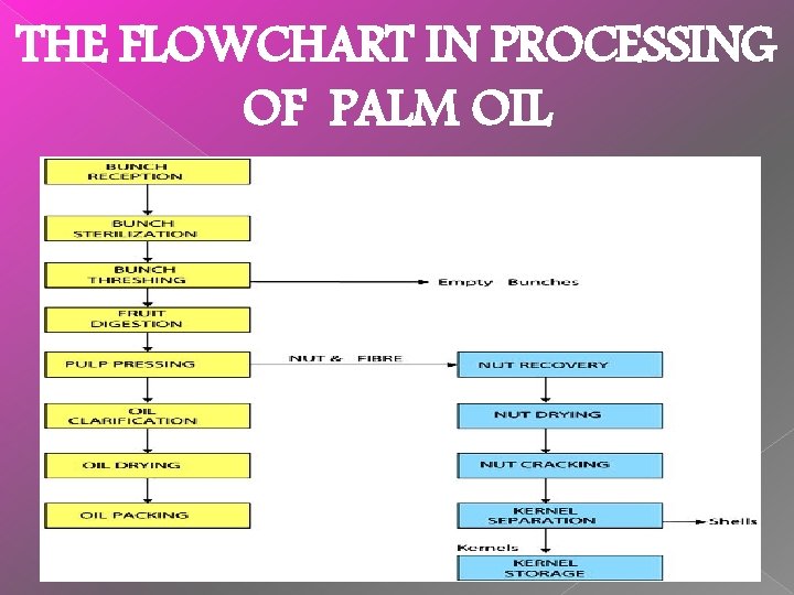 THE FLOWCHART IN PROCESSING OF PALM OIL 
