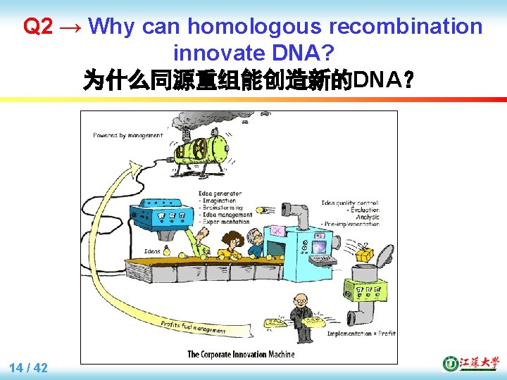 Q 2 → Why can homologous recombination innovate DNA? 为什么同源重组能创造新的DNA？ 14 / 42 