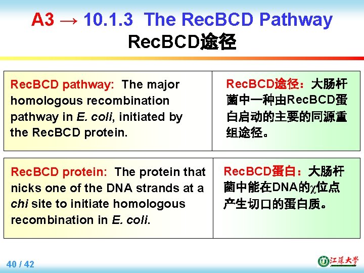 A 3 → 10. 1. 3 The Rec. BCD Pathway Rec. BCD途径 Rec. BCD