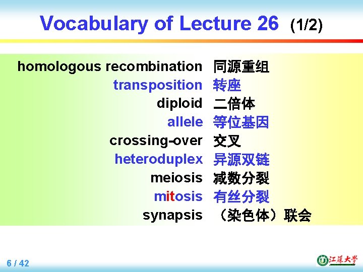 Vocabulary of Lecture 26 homologous recombination transposition diploid allele crossing-over heteroduplex meiosis mitosis synapsis