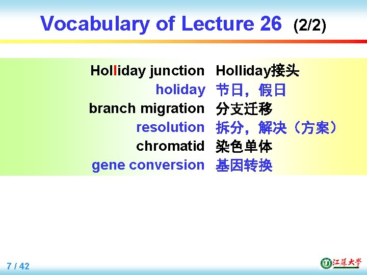 Vocabulary of Lecture 26 Holliday junction holiday branch migration resolution chromatid gene conversion 7