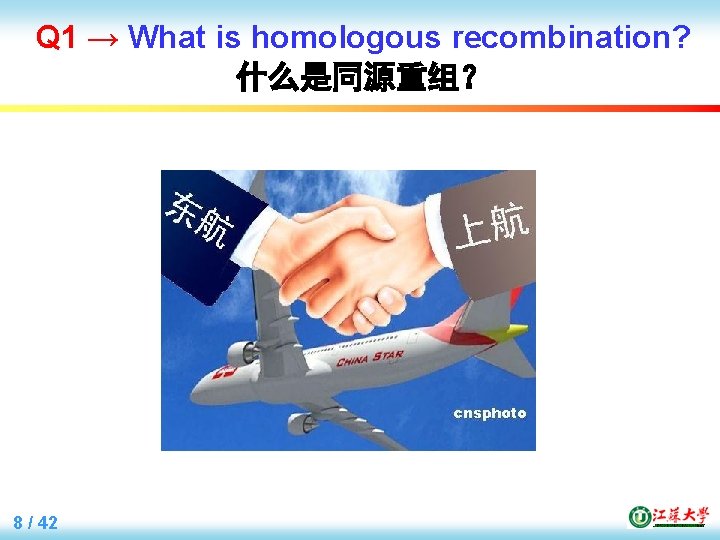 Q 1 → What is homologous recombination? 什么是同源重组？ 8 / 42 