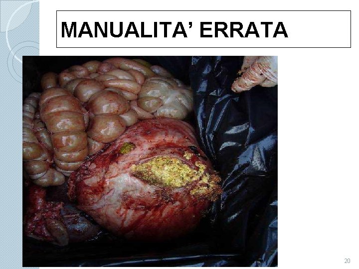 MANUALITA’ ERRATA 20 
