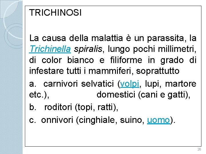 TRICHINOSI La causa della malattia è un parassita, la Trichinella spiralis, lungo pochi millimetri,