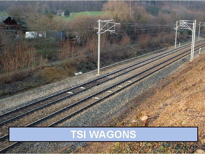 TSI WAGONS TSI WAGONS