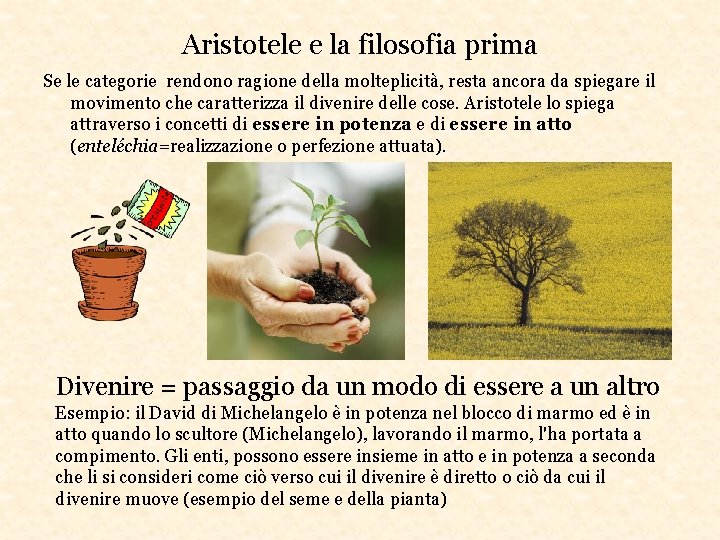 Aristotele e la filosofia prima Se le categorie rendono ragione della molteplicità, resta ancora