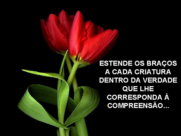 ESTENDE OS BRAÇOS A CADA CRIATURA DENTRO DA VERDADE QUE LHE CORRESPONDA À COMPREENSÃO.