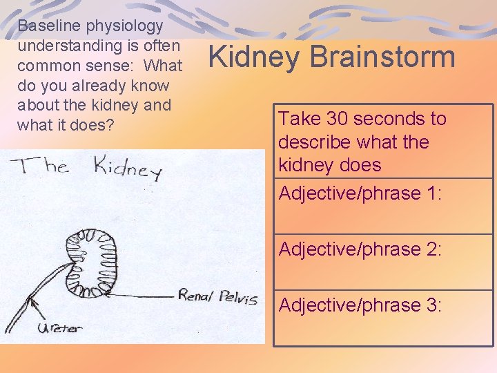 Baseline physiology understanding is often common sense: What do you already know about the