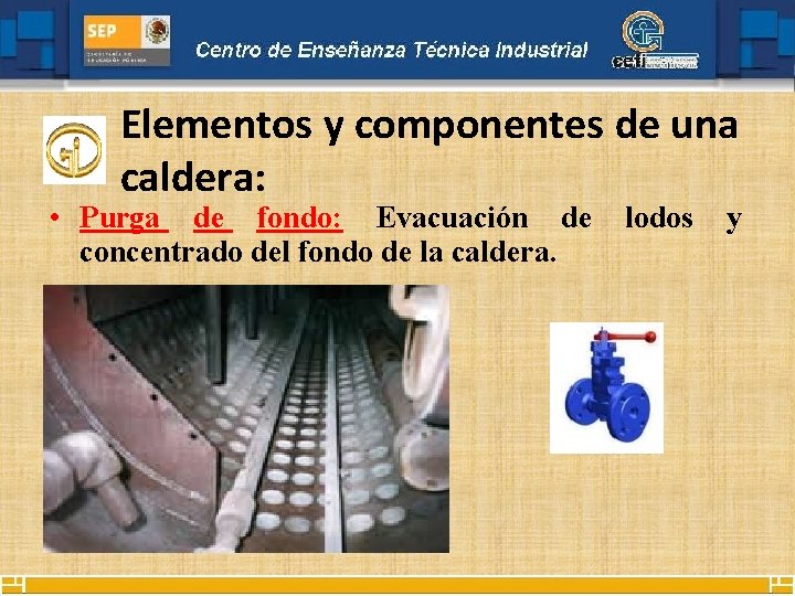 Elementos y componentes de una caldera: • Purga de fondo: Evacuación de concentrado del