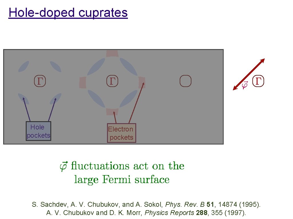 Hole-doped cuprates Hole pockets Electron pockets S. Sachdev, A. V. Chubukov, and A. Sokol,