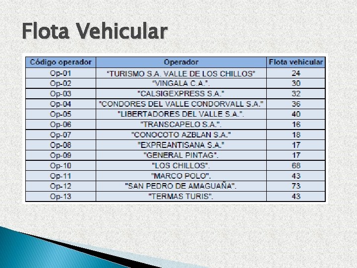 Flota Vehicular 