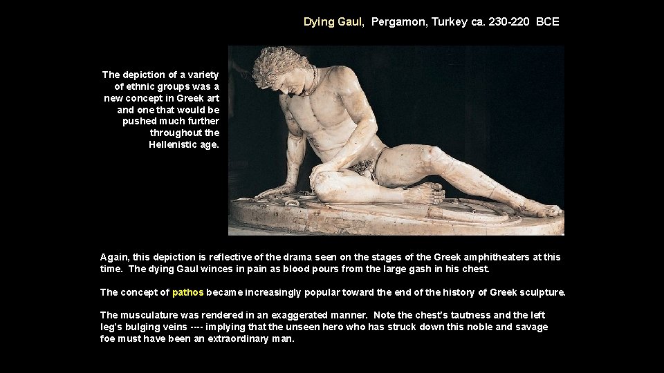 Dying Gaul, Pergamon, Turkey ca. 230 -220 BCE The depiction of a variety of