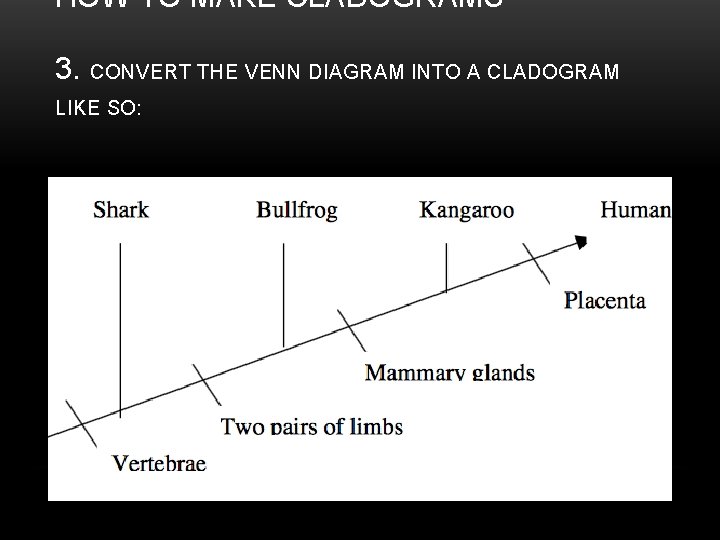 HOW TO MAKE CLADOGRAMS 3. CONVERT THE VENN DIAGRAM INTO A CLADOGRAM LIKE SO: