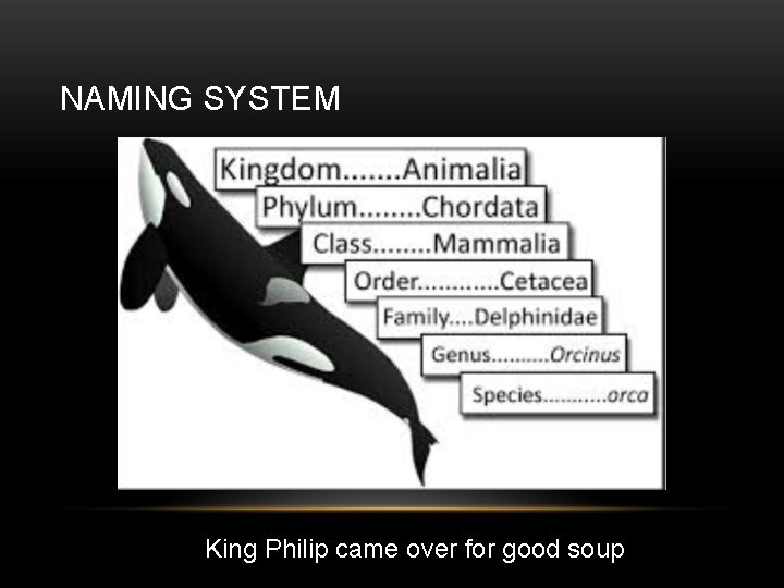 NAMING SYSTEM King Philip came over for good soup 