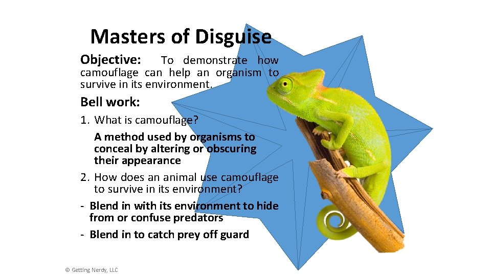 Masters of Disguise Objective: To demonstrate how camouflage can help an organism to survive