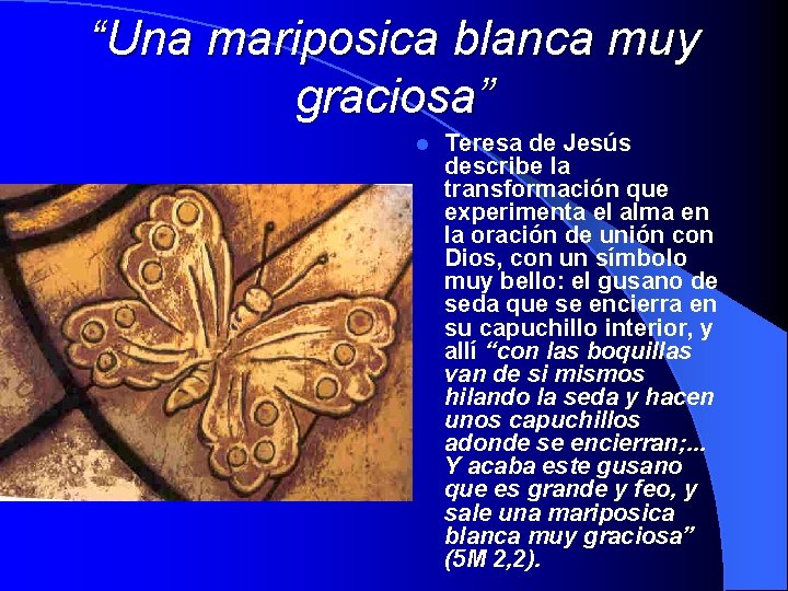 “Una mariposica blanca muy graciosa” l Teresa de Jesús describe la transformación que experimenta