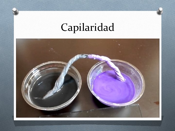 Capilaridad Capilaridad