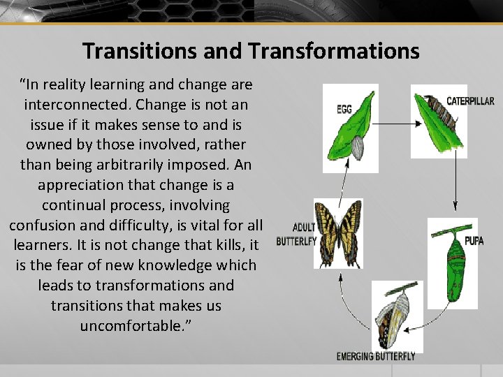 Transitions and Transformations “In reality learning and change are interconnected. Change is not an Transitions and Transformations “In reality learning and change are interconnected. Change is not an