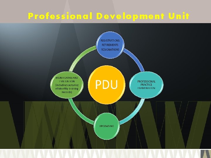 Professional Development Unit 