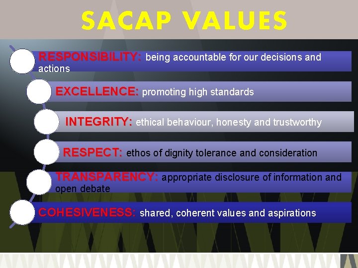 SACAP VALUES RESPONSIBILITY: being accountable for our decisions and actions EXCELLENCE: promoting high standards