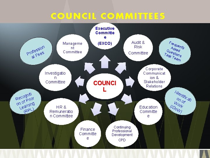 COUNCIL COMMITTEES Executive Committe e n sio s e f Pro Fees al Investigatio