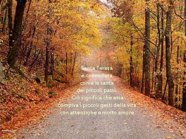 Santa Teresa è conosciuta come la santa dei piccoli passi. Ciò significa che essa