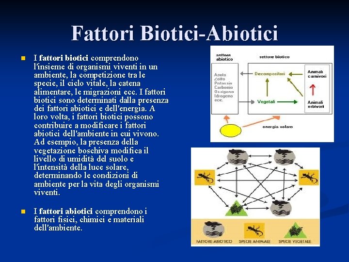 Fattori Biotici-Abiotici n I fattori biotici comprendono l'insieme di organismi viventi in un ambiente,