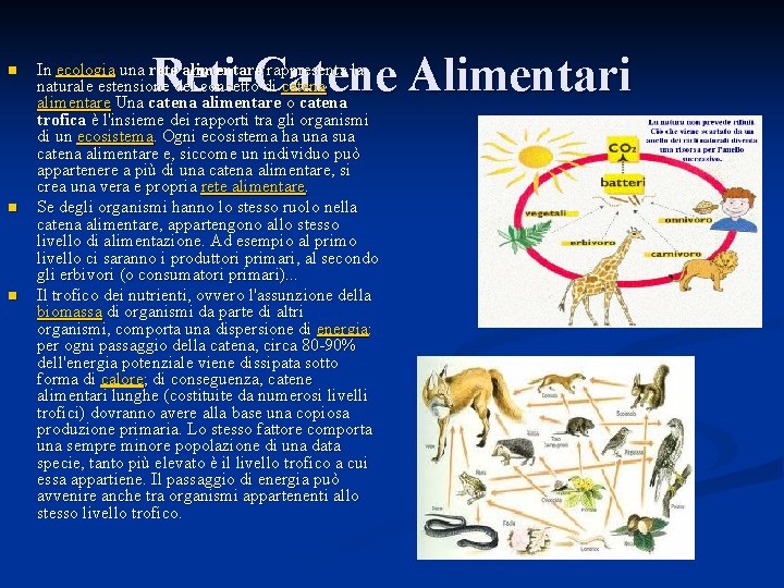 n n n Reti-Catene Alimentari In ecologia una rete alimentare rappresenta la naturale estensione
