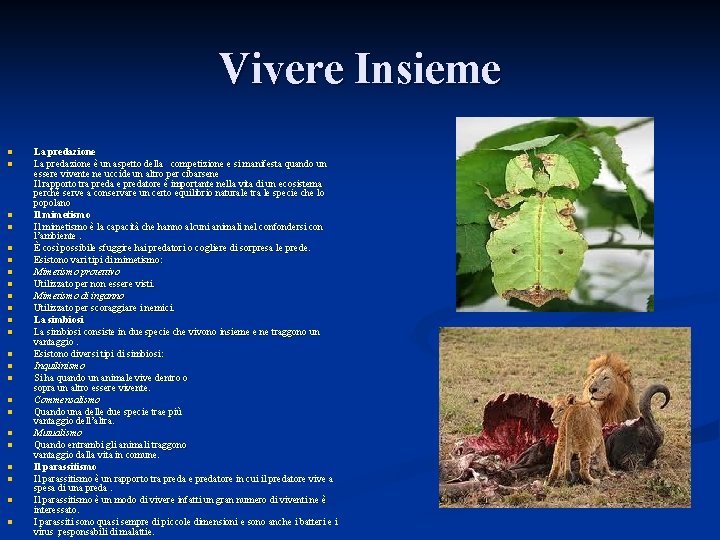 Vivere Insieme n n n n n n La predazione è un aspetto della